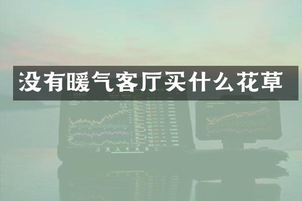 没有暖气客厅买什么花草