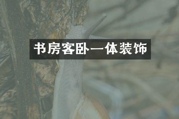 书房客卧一体装饰