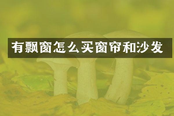 有飘窗怎么买窗帘和沙发