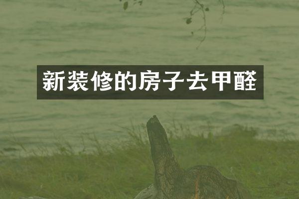 新装修的房子去甲醛