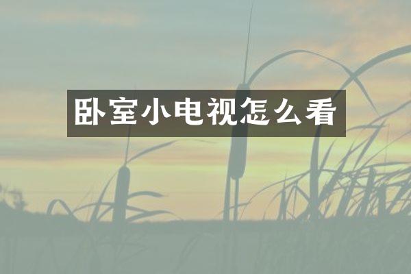 卧室小电视怎么看