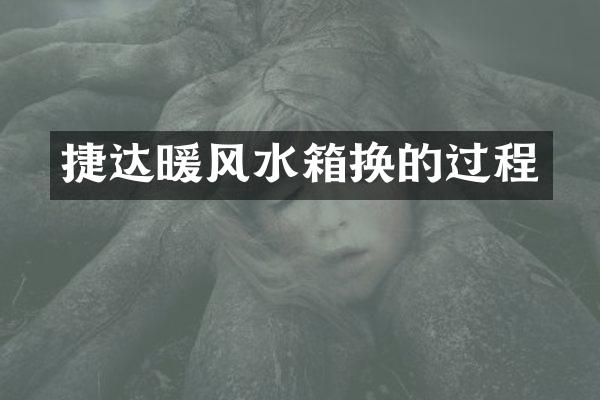 捷达暖风水箱换的过程