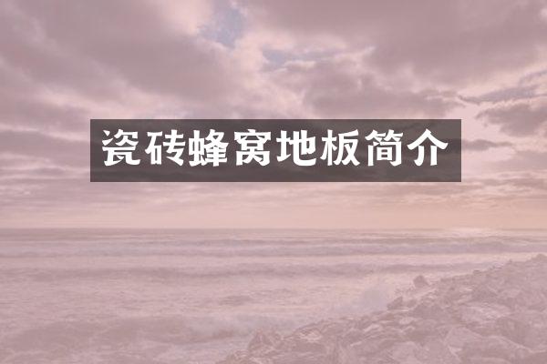 瓷砖蜂窝地板简介