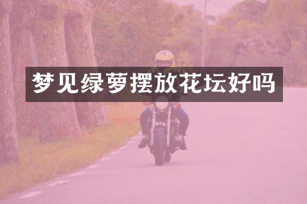 梦见绿萝摆放花坛好吗