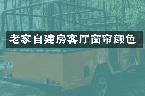 老家自建房客厅窗帘颜色