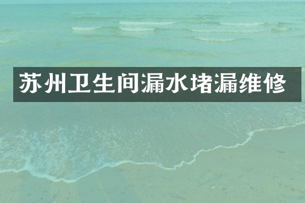 苏州卫生间漏水堵漏维修