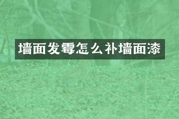 墙面发霉怎么补墙面漆