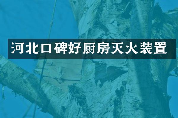 河北口碑好厨房灭火装置