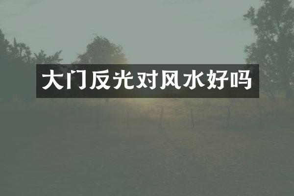 大门反光对风水好吗