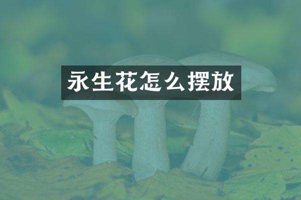永生花怎么摆放