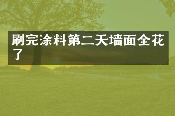 刷完涂料第二天墙面全花了