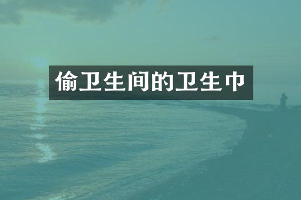 偷卫生间的卫生巾
