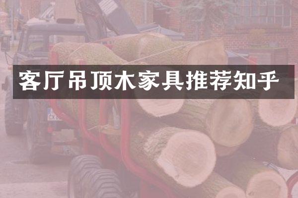 客厅吊顶木家具推荐知乎