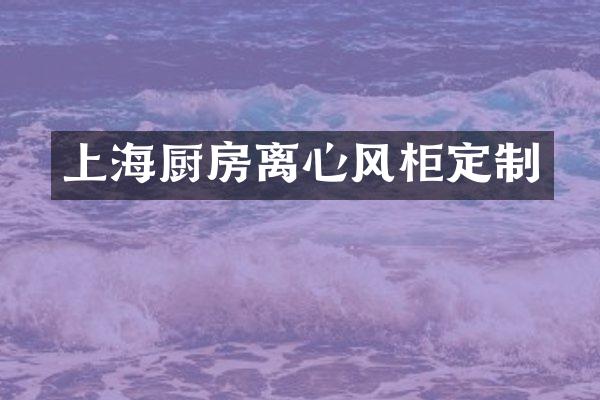 上海厨房离心风柜定制