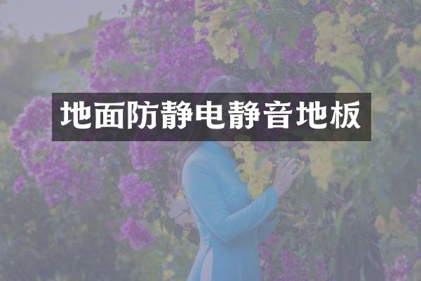 地面防静电静音地板