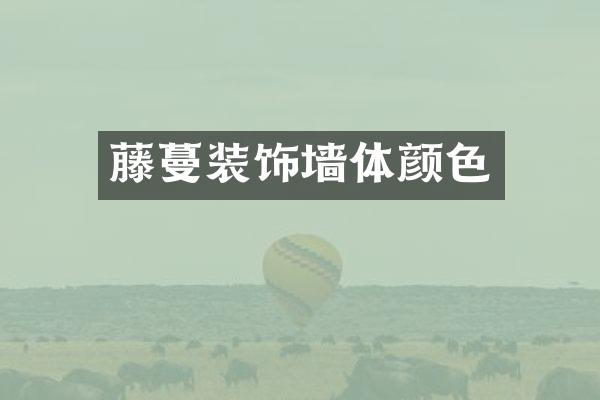 藤蔓装饰墙体颜色