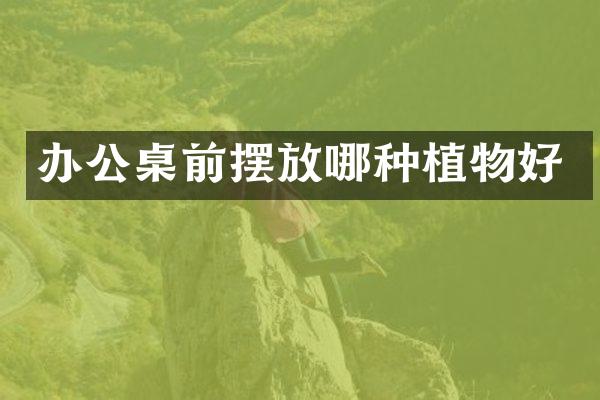 办公桌前摆放哪种植物好