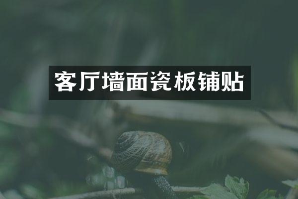 客厅墙面瓷板铺贴