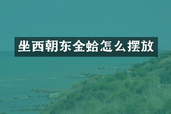 坐西朝东金蛤怎么摆放