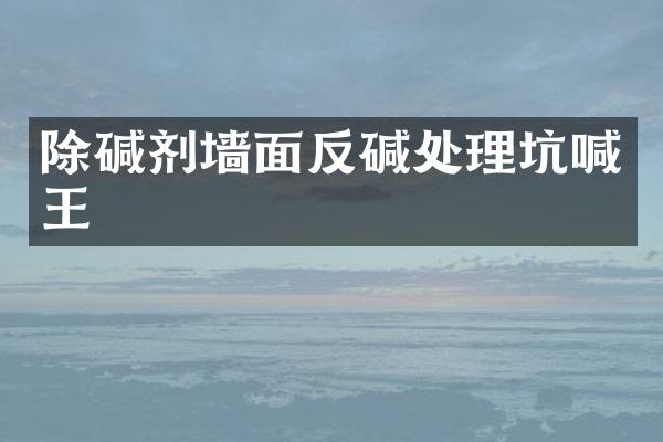 除碱剂墙面反碱处理坑喊王