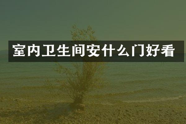 室内卫生间安什么门好看