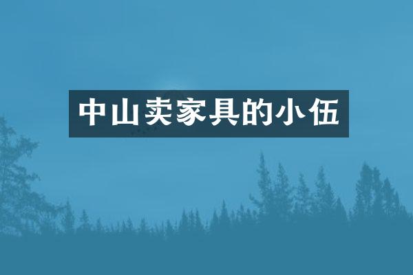 中山卖家具的小伍