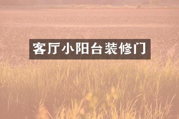客厅小阳台装修门