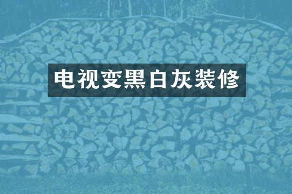 电视变黑白灰装修