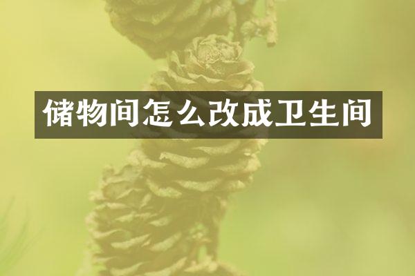 储物间怎么改成卫生间