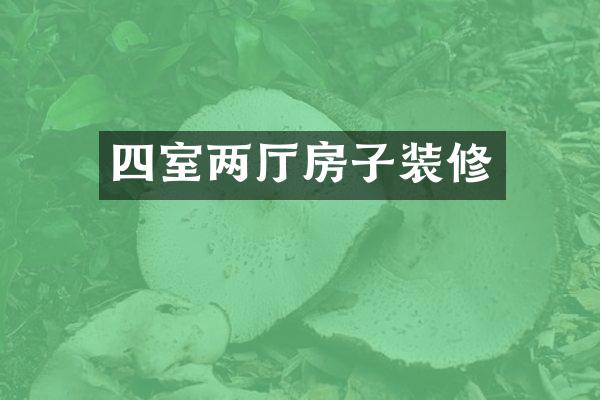 四室两厅房子装修