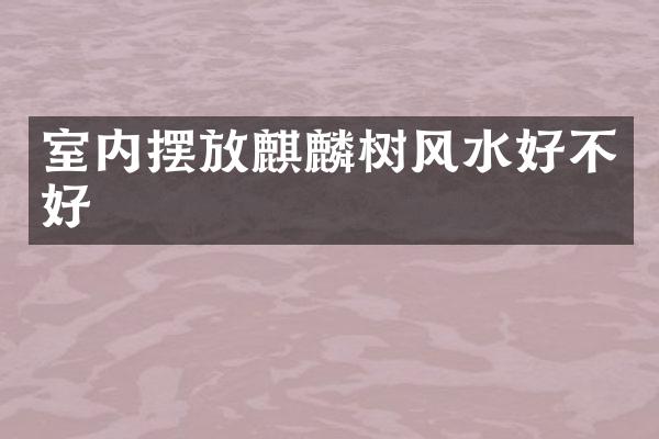 室内摆放麒麟树风水好不好