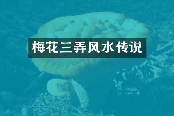 梅花三弄风水传说