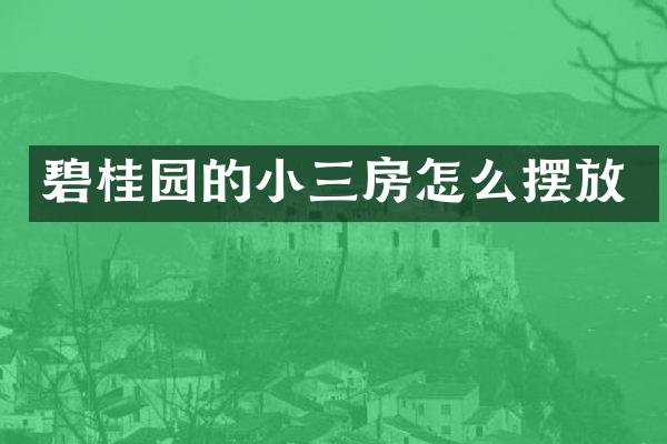 碧桂园的小三房怎么摆放