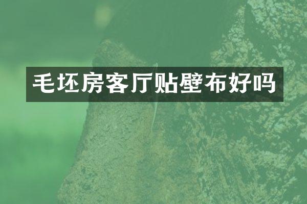 毛坯房客厅贴壁布好吗