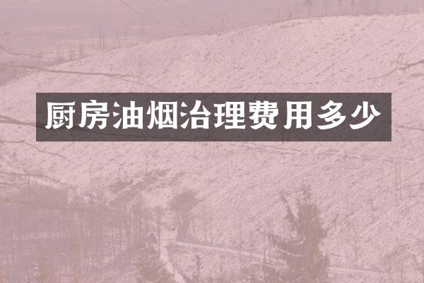 厨房油烟治理费用多少