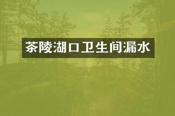 茶陵湖口卫生间漏水