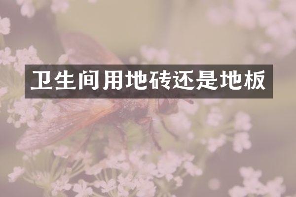卫生间用地砖还是地板