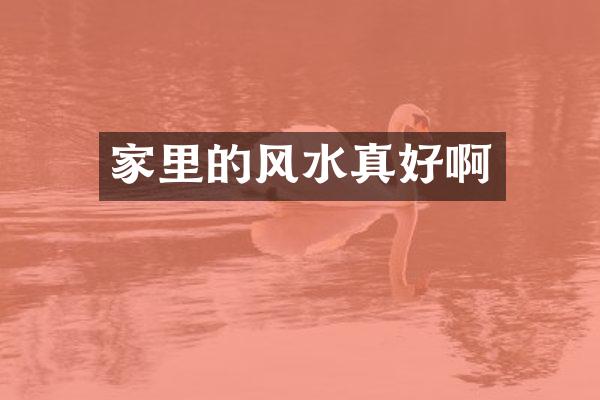 家里的风水真好啊