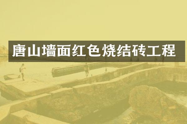 唐山墙面红色烧结砖工程