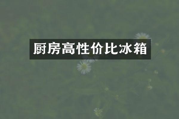 厨房高性价比冰箱