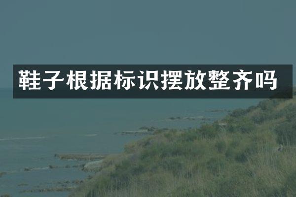 鞋子根据标识摆放整齐吗