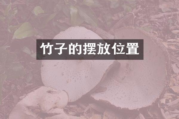 竹子的摆放位置