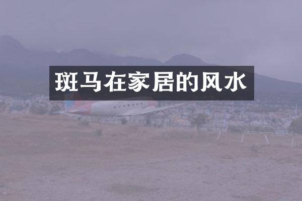 斑马在家居的风水