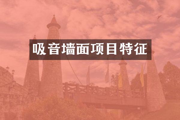 吸音墙面项目特征
