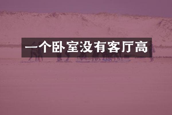 一个卧室没有客厅高