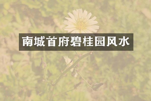 南城首府碧桂园风水