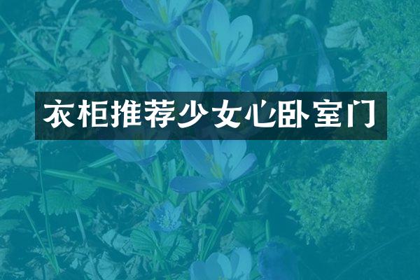 衣柜推荐少女心卧室门