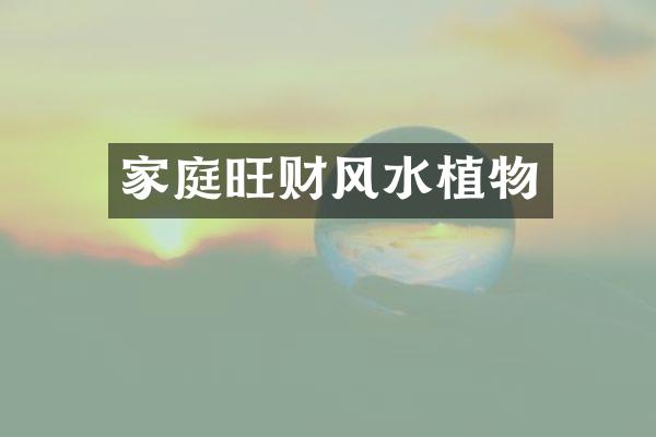 家庭旺财风水植物