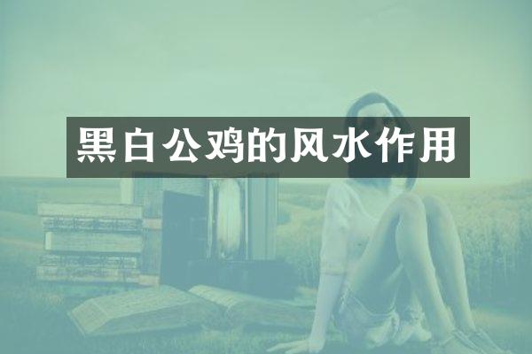 黑白公鸡的风水作用