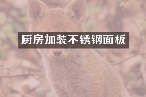 厨房加装不锈钢面板